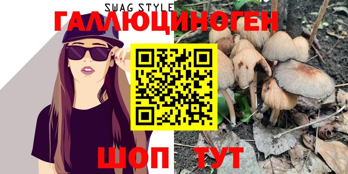 Кузнецк  Галлюциногенные грибы Magic Shrooms  Вход с VPN 