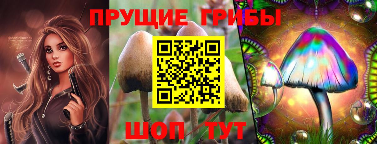 Галлюциногенные грибы прущие грибы Кузнецк